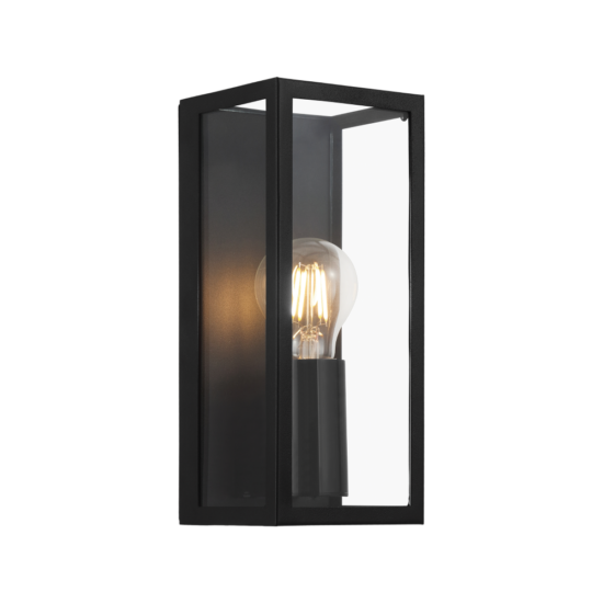 Fali/mennyezeti lámpa E27 1x60W IP44 fekete/átlátszó Amezola - Eglo - 99123