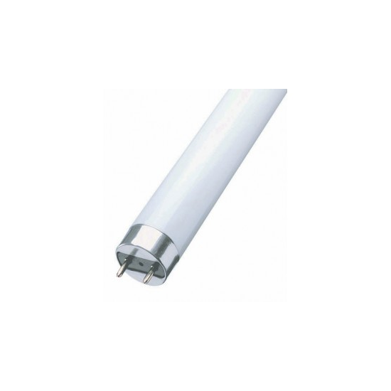 Fénycső 36W/954 T8 Osram - 36W/954 !